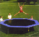 All American Playground Inc Octagonal Trampolines, 14' shown
